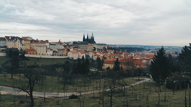 The view from Petřín Hill, Prague