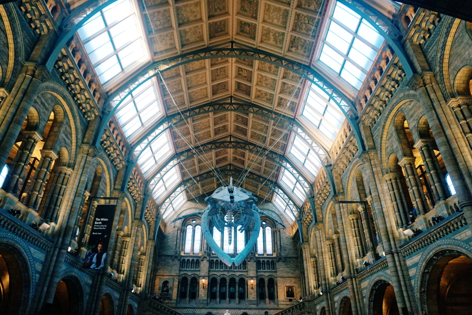 Natural History Museum Hope the Whale | The LDN Gal