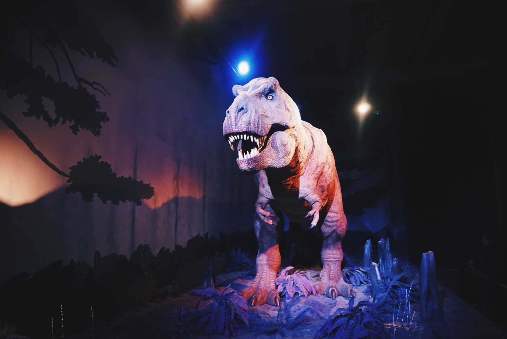 The best things to do in Kensington, London - Natural History Museum T Rex | The LDN Gal