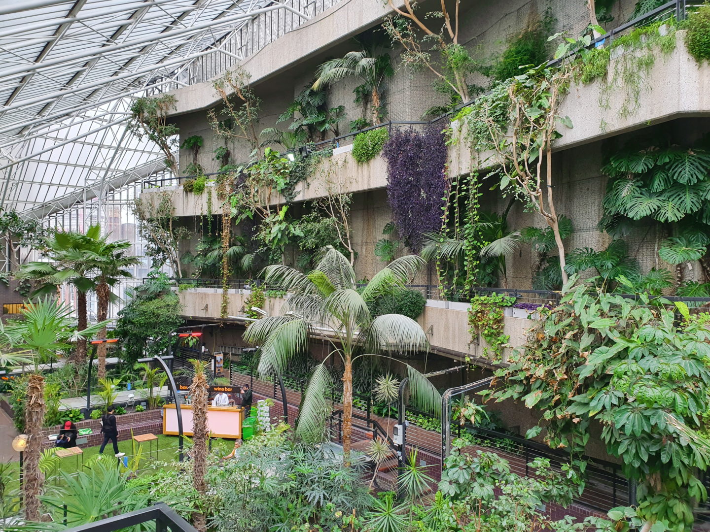 Taking a stroll through Barbican Conservatory - interior